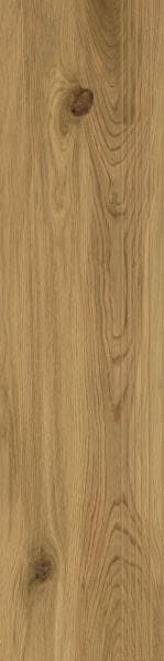 FREELAND GOLD STOPNICA NACINANA MAT. 29,8X119,8