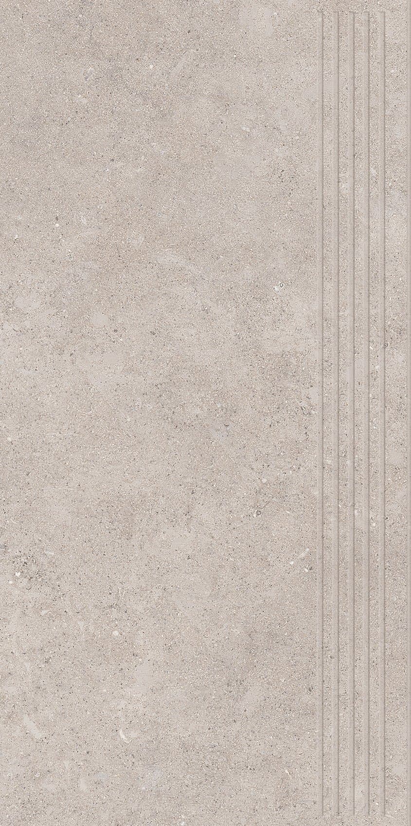 CITYROCK GREY STOPNICA PRASOWANA MAT 29,8X59,8 preview
