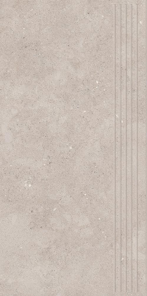 CITYROCK GREY STOPNICA PRASOWANA MAT 29,8X59,8