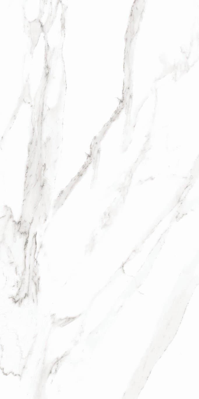 CHO SIENA GREY POLER 60X60 GI (1,44/4) preview