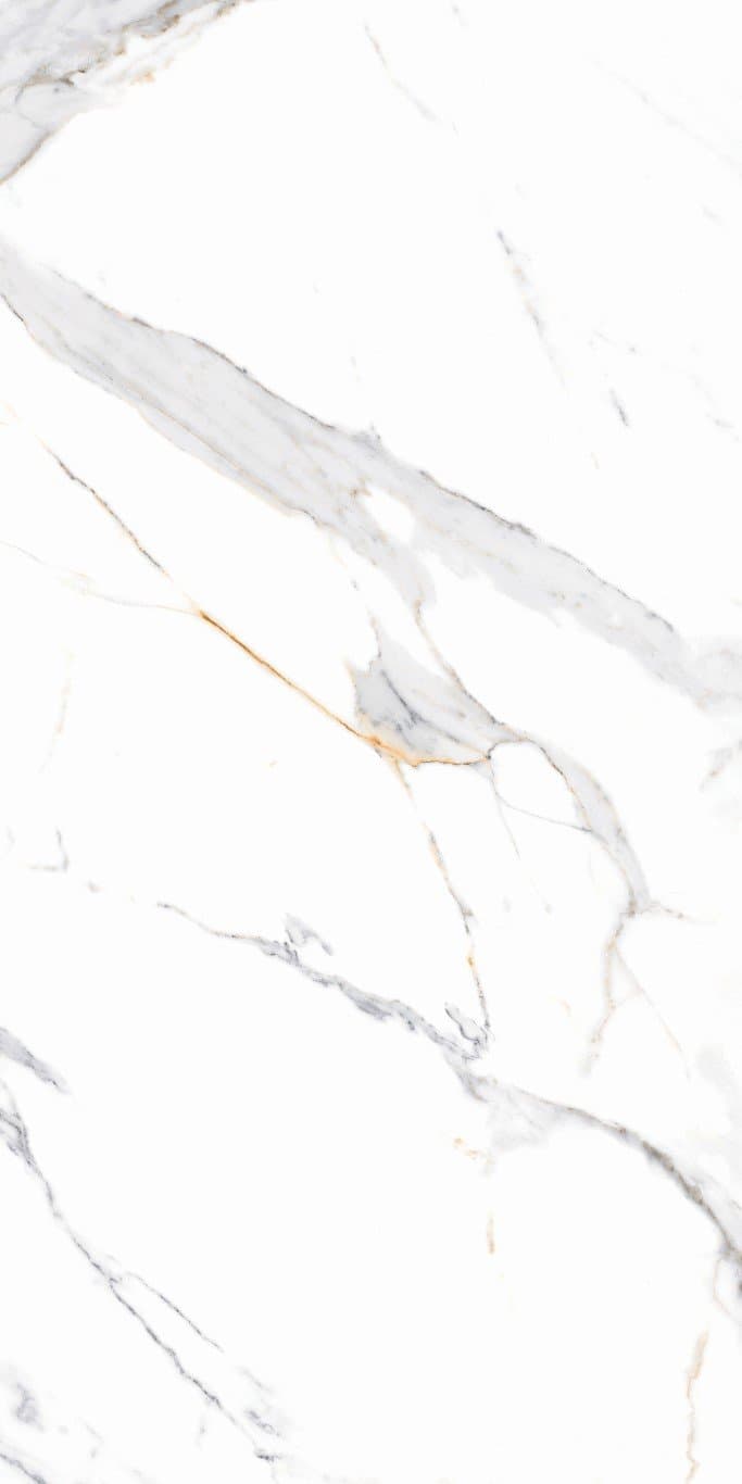 CHO CAP MODERN STATUARIO POLER 60X120 GI (1,44/2) preview