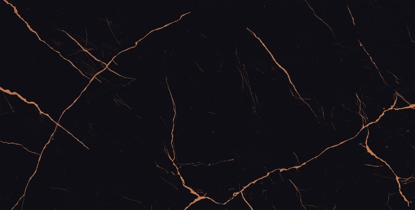 CHO COIN BLACK HIGH GLOSSY 60X120 GI (1,44/2) preview