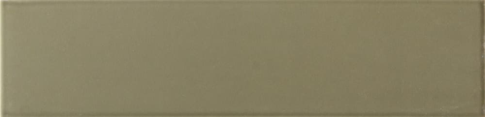 Lumina Lichen Matt 6x24,6