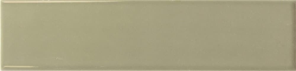 Lumina Lichen 6x24,6
