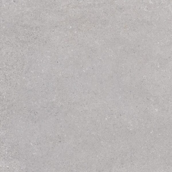 VIVES NASSAU GRIS 60X60 44IS G1 VV