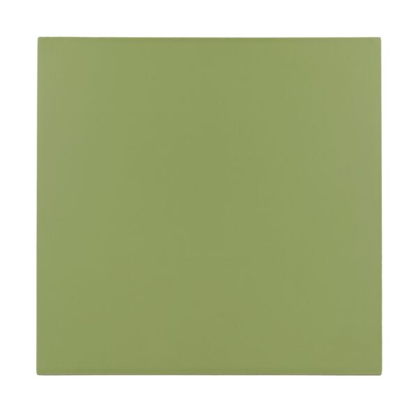 EQUIPE RIVOLI GREEN 20X20 G1 EQ 30716